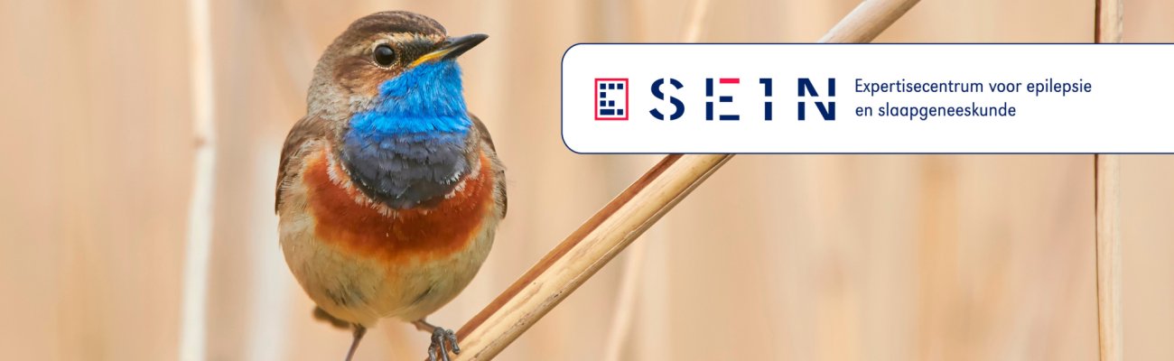 Shutterstock 1394316167 blauwborst vogel voor Formie