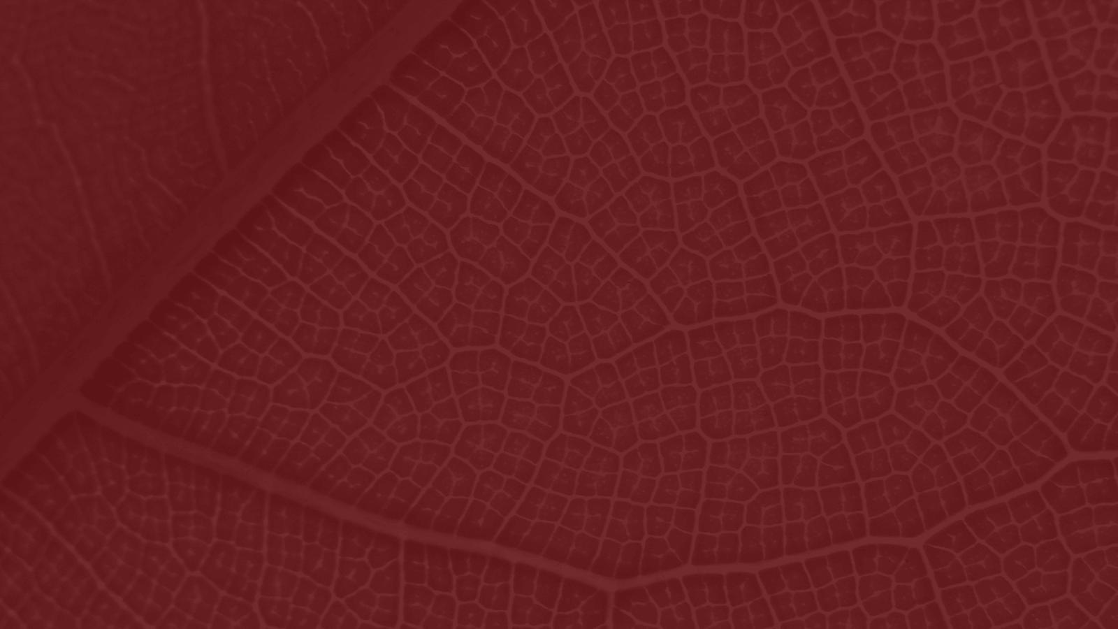 3 Structure Organic
