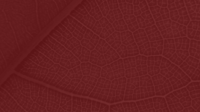 3 Structure Organic